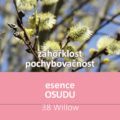 Bachova květová esence 38 – Willow