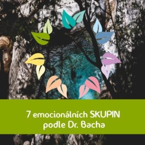 7 emocionálních skupin Dr. Bacha Energie rostlin