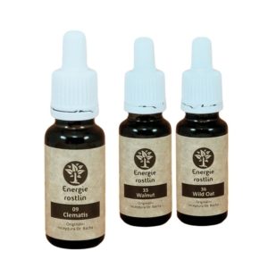 Bachovy esence vhodné pro znamení raka – vysoký podíl mateční esence u Energie rostlin