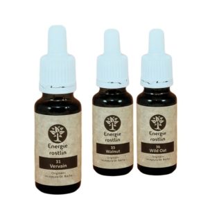 Bachovy esence vhodné pro znamení lva – vysoký podíl mateční esence u Energie rostlin