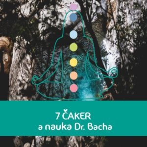 Bachovy esence – 7 čaker bytosti
