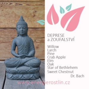 Bachovy esence - DEPRESE a ZOUFALSTVÍ