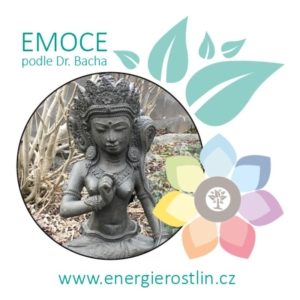 emocionální stavy dle Dr. Bacha u Energie rostlin