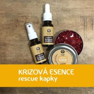 Bachovy květové esence - rescue remedy - krozová esence Energie rostlin