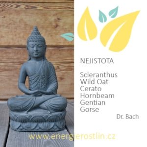 Bachovy esence - NEJISTOTA
