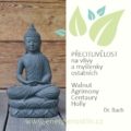 Přecitlivělost - čtvrtá skupina emocionálních prožitků podle Dr. Bacha u Energie rostlin