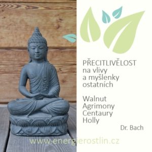 Bachovy esence - PŘECITLIVĚLOST k lidem i myšlenkám (na vlivy a ideály)