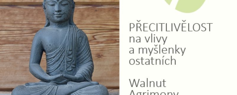 Přecitlivělost - čtvrtá skupina emocionálních prožitků podle Dr. Bacha u Energie rostlin