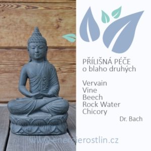 Bachovy esence - PŘEHNANÁ PÉČE O BLAHO DRUHÝCH