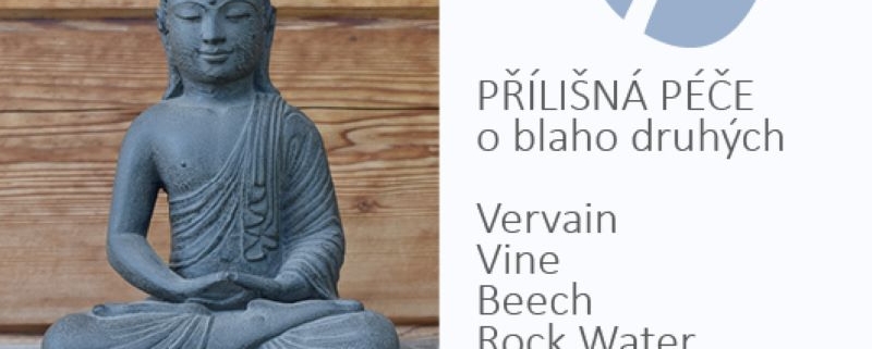 Přehnaná péče - šestá skupina emocionálních prožitků podle Dr. Bacha u Energie rostlin