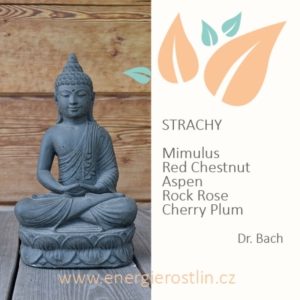 Bachovy esence - STRACH