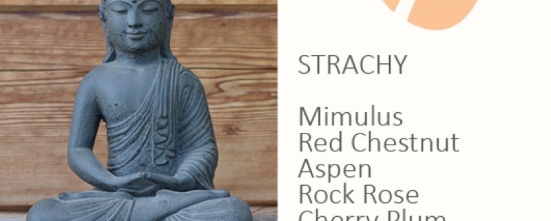 Strachy - druhá skupina emocionálních prožitků podle Dr. Bacha u Energie rostlin