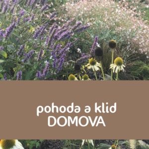 nejen Bachovy esence - vůně, dým, očista, klid, pohoda