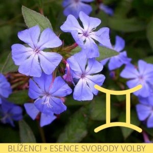 Bachovy esence v nejsilnější, na trhu dostupné koncentraci – BLÍŽENCI