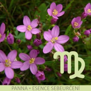 Bachovy esence v nejsilnější, na trhu dostupné koncentraci – PANNA