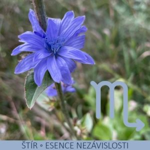 Bachovy esence v nejsilnější, na trhu dostupné koncentraci – ŠTÍR