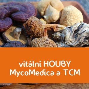 Vitální HOUBY – tinktury – sirupy – TCM