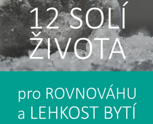 tkáňové soli Dr. Schuesslera - 12 soli života pro rovnováhu a lehkost bytí