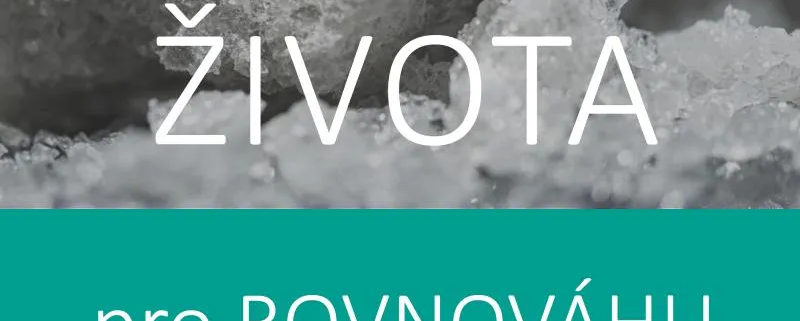 tkáňové soli Dr. Schuesslera - 12 soli života pro rovnováhu a lehkost bytí