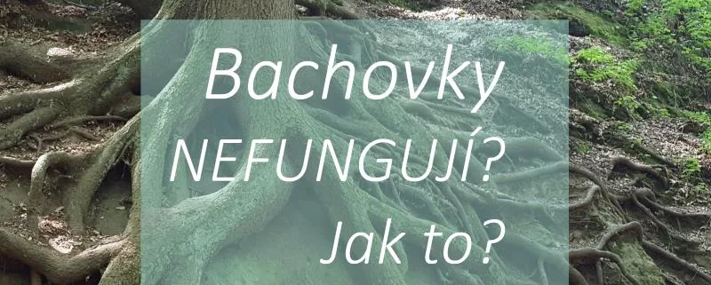 Bachovy kapky: proč někomu Bachovky nefungují?