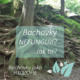 Bachovy kapky: proč někomu Bachovky nefungují?