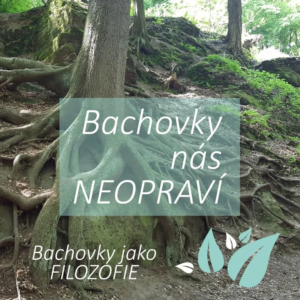 Bachovy esence jako "Všelék"?