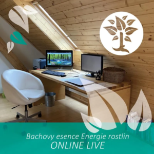 Individuální směs Bachových esencí ONLINE i osobně