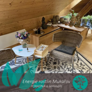 Individuální směs Bachových esencí Energie rostlin