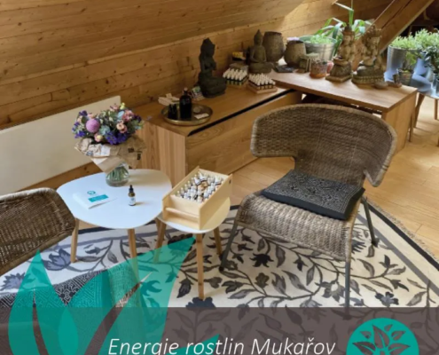 Individuální směs Bachových esencí Energie rostlin