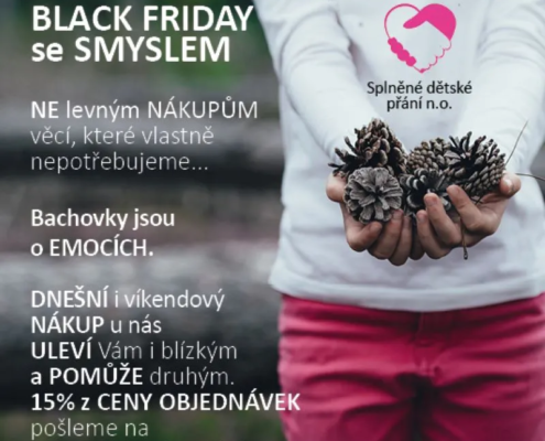 Black Friday jinak