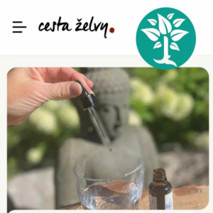 Čtěte na portálu Cesta ŽELVY sérii článků o Bachovkách a Schusslerových solích