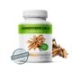 Cordyceps CS-4 u Energie rostlin