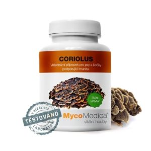 Coriolus - vitální houba, když je nejhůř.