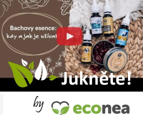 O Bachovkách by Econea