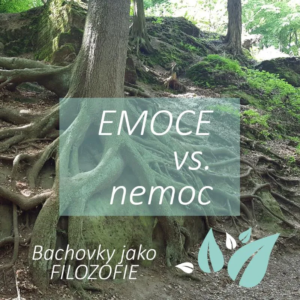 Víte, jak naše emoce ovlivňují to, zda onemocníme?