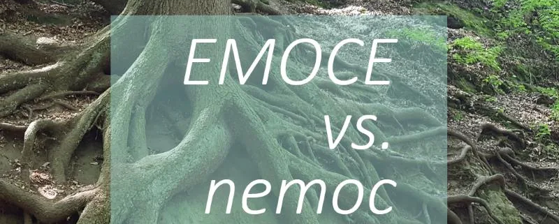 Víte, jak naše emoce ovlivňují to, zda onemocníme?