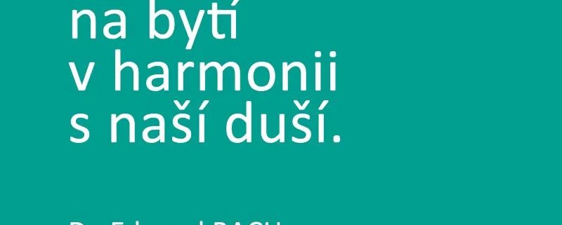 Bachovy esence - zdraví, harmonie, duše Energie rostlin