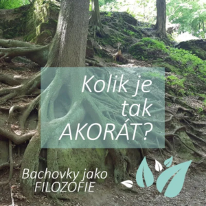 Kolik esencí můžeme dát do jedné lahvičky?