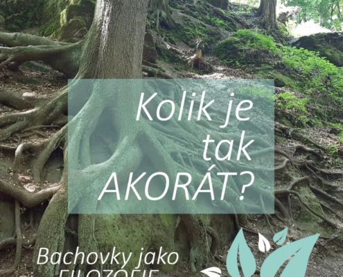 Kolik esencí můžeme dát do jedné lahvičky?