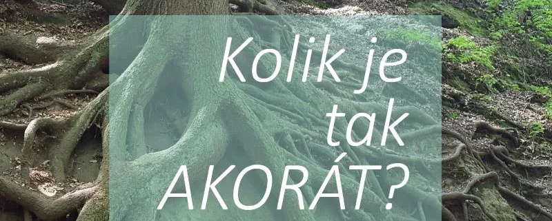 Kolik esencí můžeme dát do jedné lahvičky?