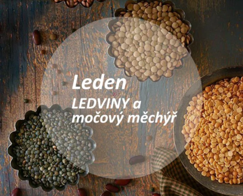 Leden - lednivy a močový měchýř - strachy Dr. Bach Energie rostlin