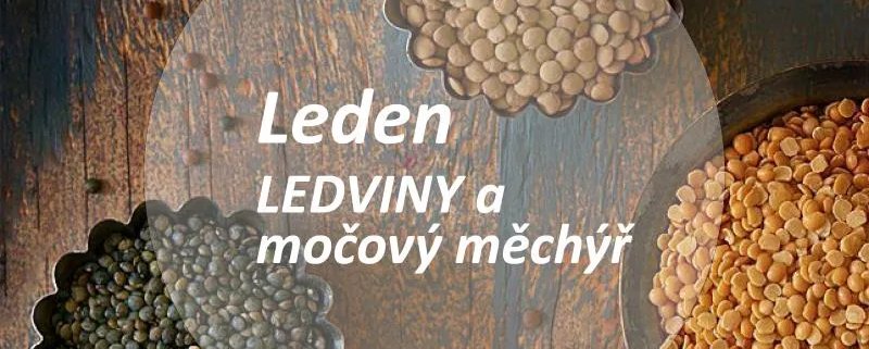 Leden - lednivy a močový měchýř - strachy Dr. Bach Energie rostlin