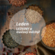 Leden - lednivy a močový měchýř - strachy Dr. Bach Energie rostlin