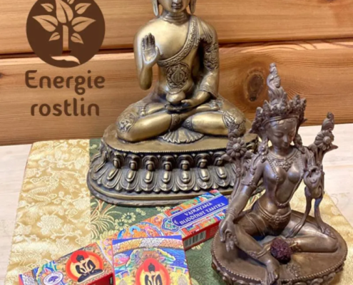 Meditační vonné tyčky nejvyšší kvality u Energie rostlin