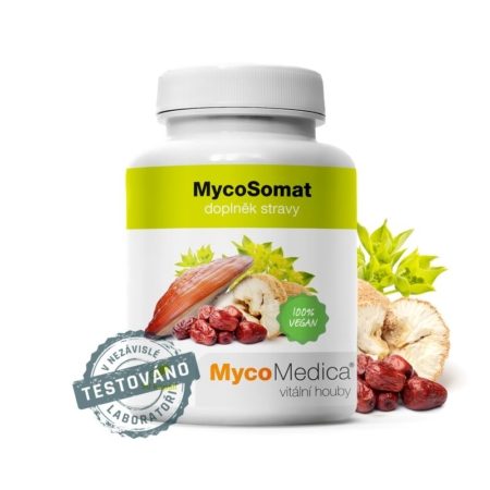 MycoSomat u Energie rostlin