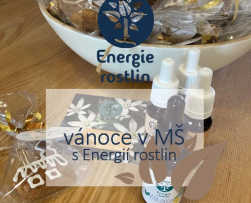 Přispíváme na MŠ - vánoce s dárky - Energie rostlin