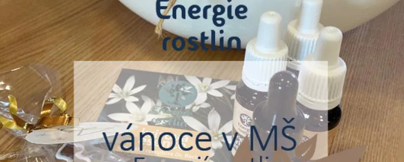 Přispíváme na MŠ - vánoce s dárky - Energie rostlin