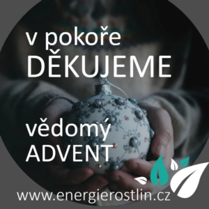 Vedomý Advent - děkujeme Energie rostlin
