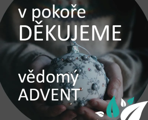 Vedomý Advent - děkujeme Energie rostlin
