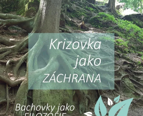 rescue remedy - krizová esence - záchranná esence Energie rostlin
